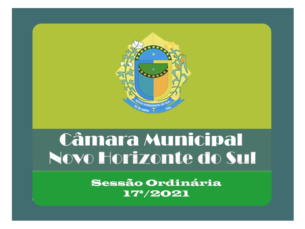 Resumo da 17ª Sessão Ordinária