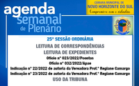 PAUTA DA 25ª SESSÃO ORDINÁRIA 