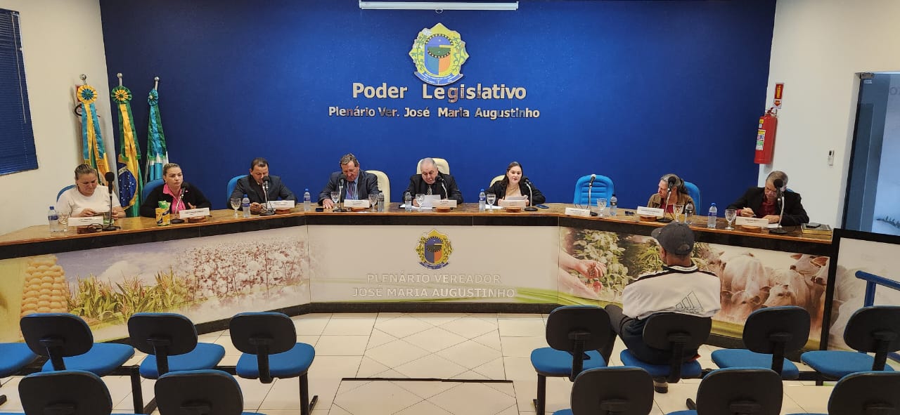 Resumo da 22ª Sessão Ordinária da Câmara Municipal de Novo Horizonte do Sul – 12 de Agosto de 2025