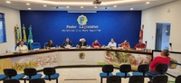 Resumo da 9ª Sessão Ordinária da Câmara Municipal de Novo Horizonte do Sul - 2025